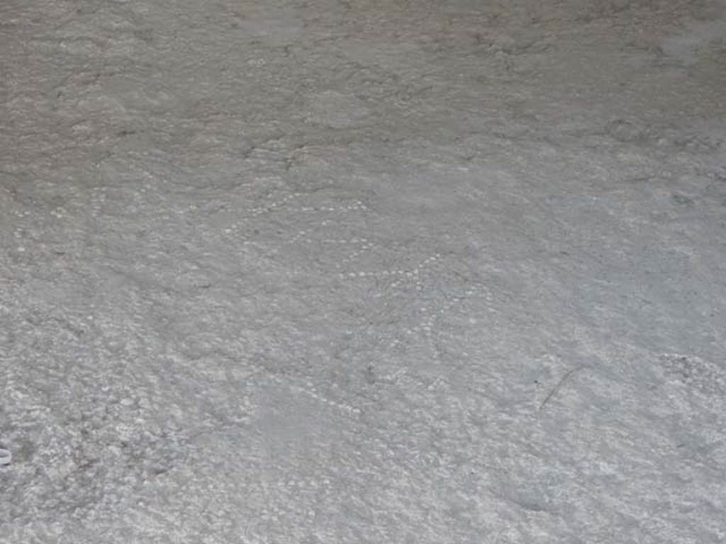 II.2.2 Pompeii. May 2016. Room “h”, patterned floor.
Photo courtesy of Buzz Ferebee.