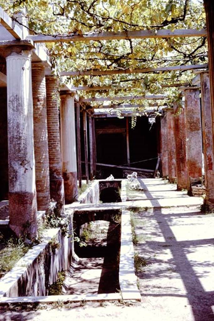II.2.2 Pompeii. 1961. Room “i”, looking east along upper euripus water feature. Photo by Stanley A. Jashemski.
Source: The Wilhelmina and Stanley A. Jashemski archive in the University of Maryland Library, Special Collections (See collection page) and made available under the Creative Commons Attribution-Non Commercial License v.4. See Licence and use details.
J61f0703