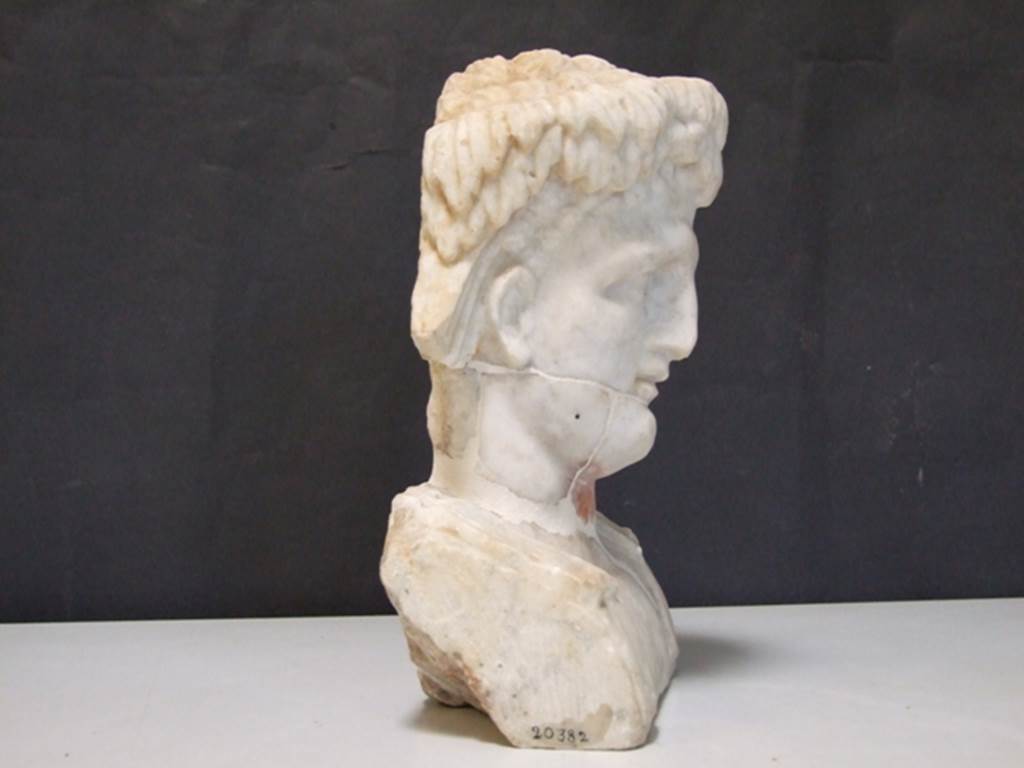 II.2.2 Pompeii. March 2009. Room “i”. White marble bust of a man, perhaps a young Dionysus. Found on the north side of the upper euripus in the garden.
SAP inventory number: 20382