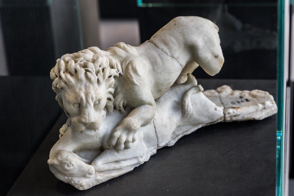 II.2.2 Pompeii. January 2023.
Room “i”, white statuette of a lion found on the north side of the upper euripus in the garden.
On display in exhibition in Palaestra. Photo courtesy of Johannes Eber