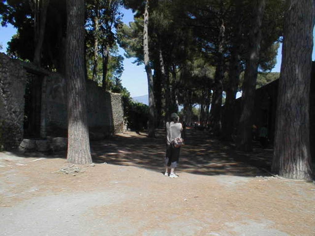 II.2.5 Pompeii. May 2005. Via di Castricio looking east . II.7 Palaestra