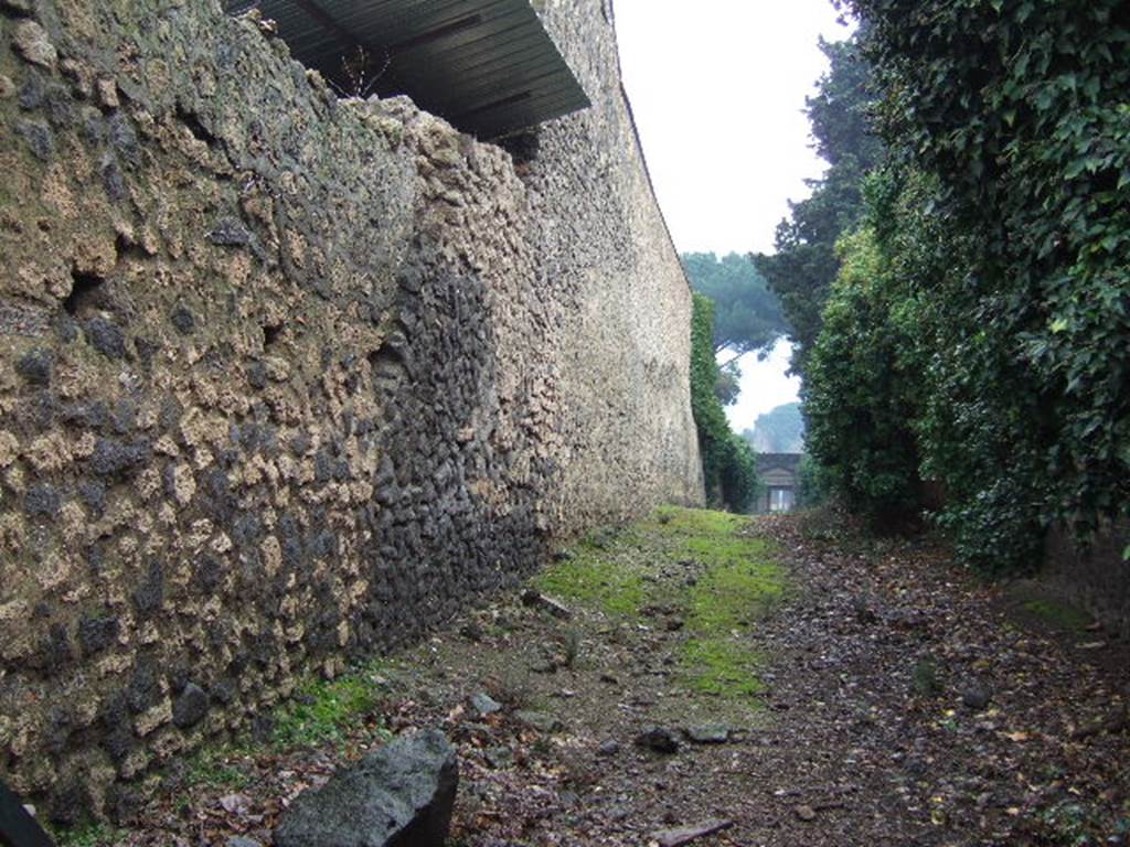 II.3.1 Vicolo della Venere looking south. December 2005. II.2