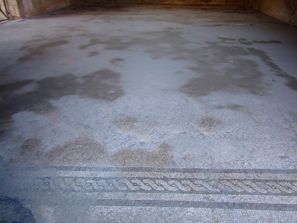 II.3.3 Pompeii. March 2009. Room 5. Mosaic floor at east end, near atrium.