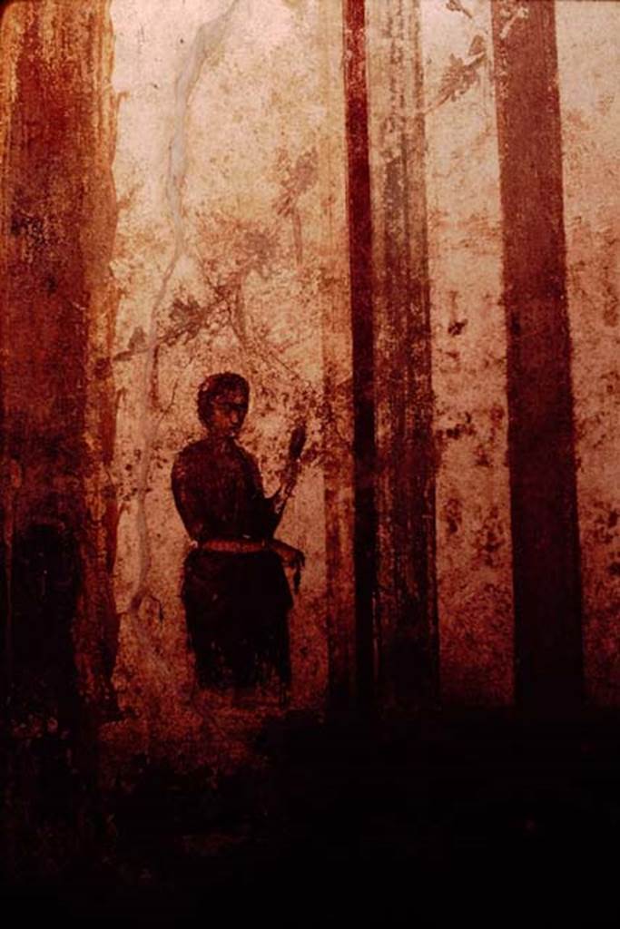 II.3.3 Pompeii. 1964. Room 9, north wall with detail of figure in architectural setting. Photo by Stanley A. Jashemski.
Source: The Wilhelmina and Stanley A. Jashemski archive in the University of Maryland Library, Special Collections (See collection page) and made available under the Creative Commons Attribution-Non Commercial License v.4. See Licence and use details.
J64f1960