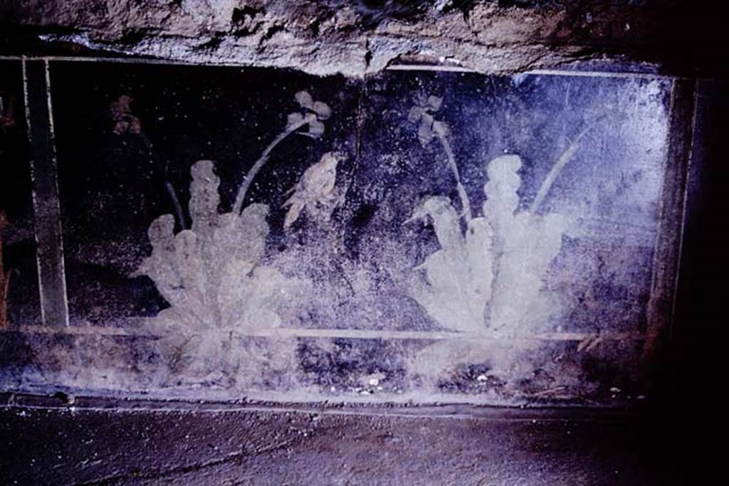 II.3.3 Pompeii. 1966. Room 10, painted plants from zoccolo of west wall. Photo by Stanley A. Jashemski.
Source: The Wilhelmina and Stanley A. Jashemski archive in the University of Maryland Library, Special Collections (See collection page) and made available under the Creative Commons Attribution-Non Commercial License v.4. See Licence and use details.
J66f0632