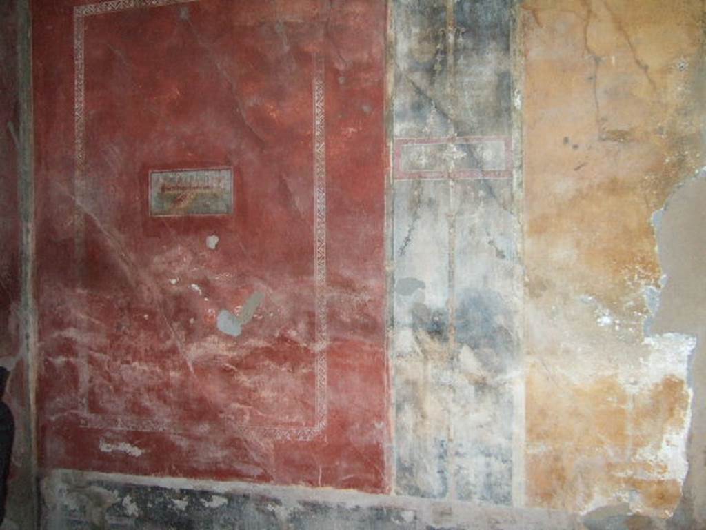 II.3.3 Pompeii. December 2005. Room 11, North Portico. North wall.