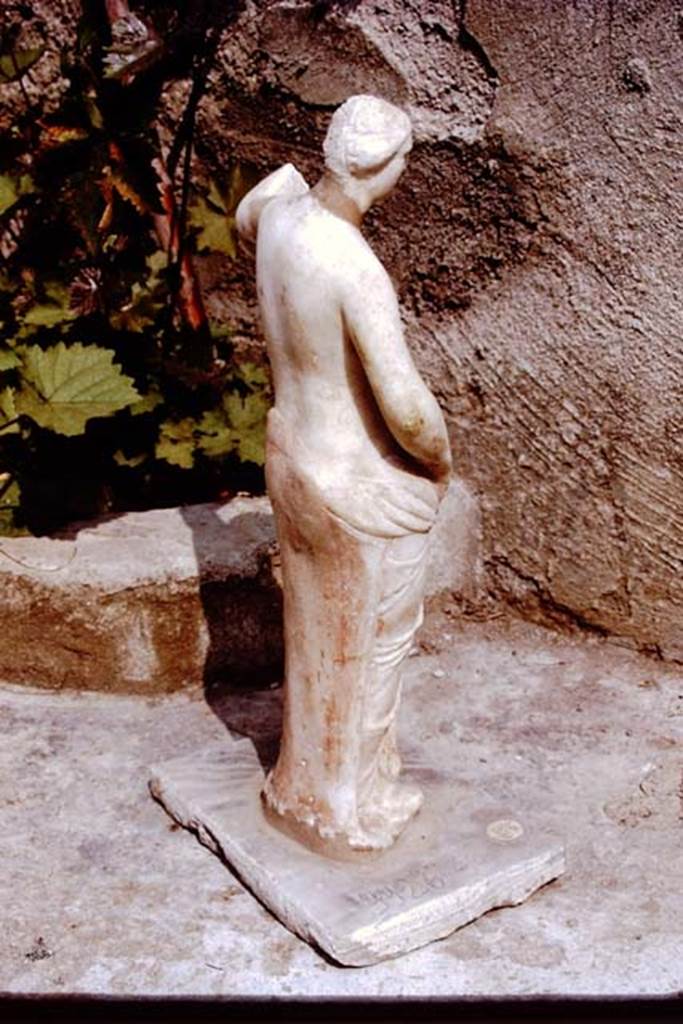 II.3.6 Pompeii. 1972. White marble statue of Venus, still with traces of red colouring.
Found in 1953. SAP inventory number: 9926. Photo by Stanley A. Jashemski.
Source: The Wilhelmina and Stanley A. Jashemski archive in the University of Maryland Library, Special Collections (See collection page) and made available under the Creative Commons Attribution-Non Commercial License v.4. See Licence and use details.
J72f0303