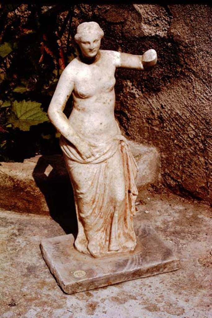 II.3.6 Pompeii, 1972. White marble statue of Venus, still with traces of red colouring.
Found in 1953. SAP inventory number: 9926. Photo by Stanley A. Jashemski.
Source: The Wilhelmina and Stanley A. Jashemski archive in the University of Maryland Library, Special Collections (See collection page) and made available under the Creative Commons Attribution-Non Commercial License v.4. See Licence and use details.
J72f0234