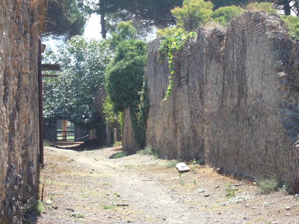 Pompeii. September 2005. Roadway looking south near II.3.7 and II.3.6