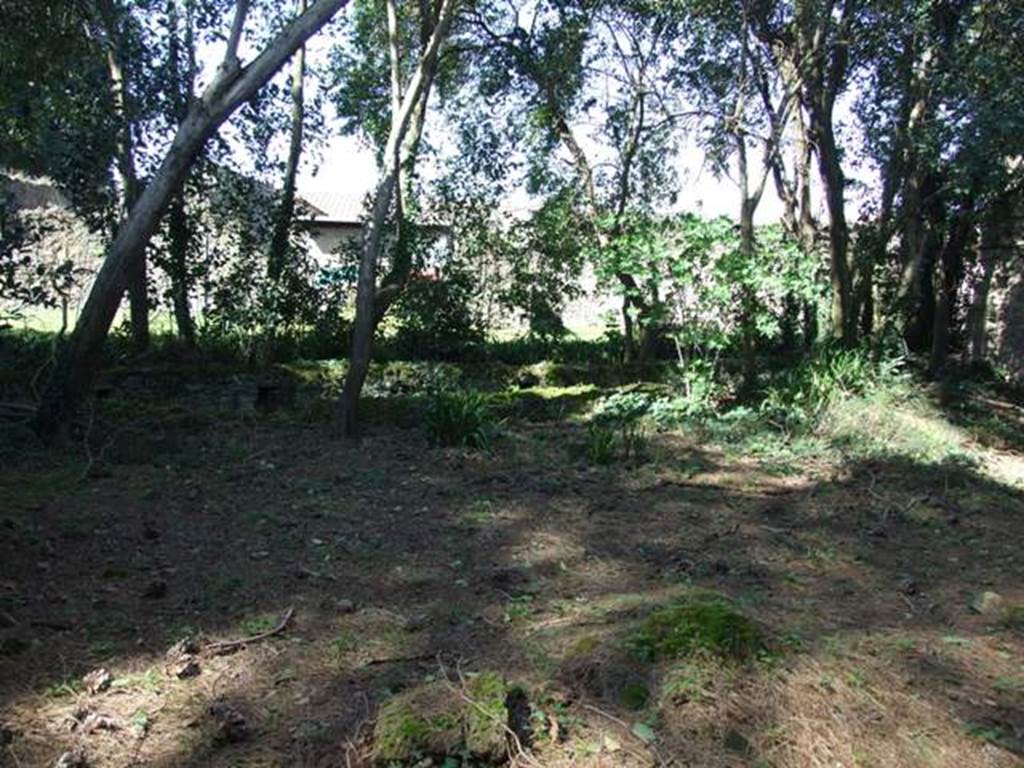 II.3.9 Pompeii. March 2009. Looking north from entrance across garden, with the Sarno Canal.