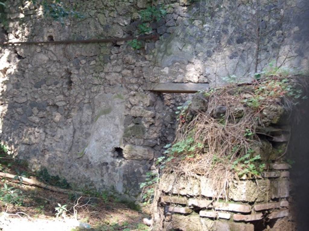 II.3.9 Pompeii. March 2009. West wall of II.3.8, on east side of garden.