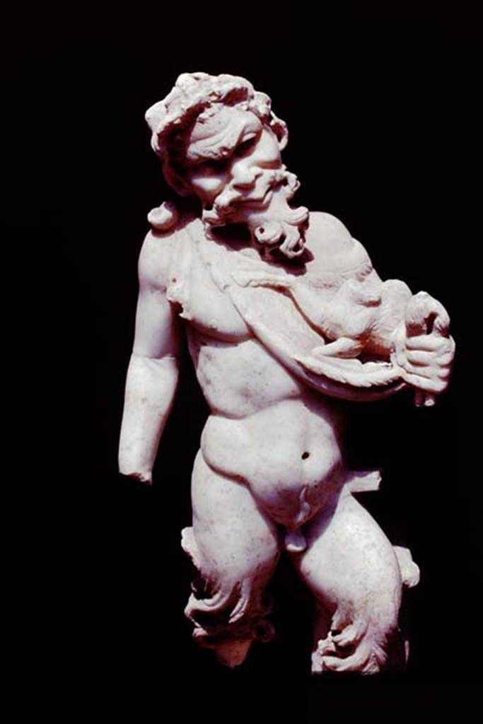 II.4.6 Pompeii, 1978. Statuette of marble satyr found at the north end of the pool.
Photo by Stanley A. Jashemski.
Source: The Wilhelmina and Stanley A. Jashemski archive in the University of Maryland Library, Special Collections (See collection page) and made available under the Creative Commons Attribution-Non Commercial License v.4. See Licence and use details. J78f0589