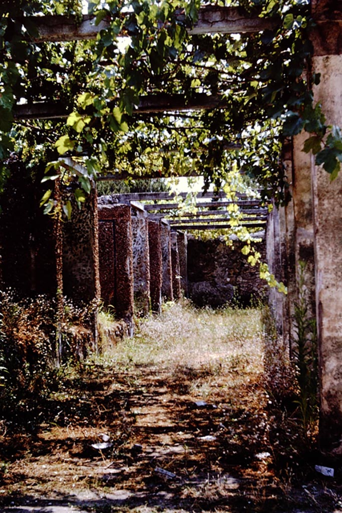 II.4.6 Pompeii. 1966. Niches on east side of garden, looking south. Photo by Stanley A. Jashemski.
Source: The Wilhelmina and Stanley A. Jashemski archive in the University of Maryland Library, Special Collections (See collection page) and made available under the Creative Commons Attribution-Non-Commercial License v.4. See Licence and use details.
J66f0629