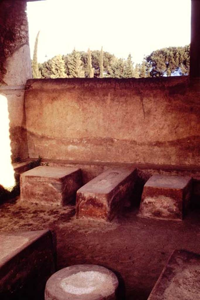 II.4.7 Pompeii. 1964. Looking from triclinium towards seats and tables. Photo by Stanley A. Jashemski.
Source: The Wilhelmina and Stanley A. Jashemski archive in the University of Maryland Library, Special Collections (See collection page) and made available under the Creative Commons Attribution-Non Commercial License v.4. See Licence and use details.
J64f1946