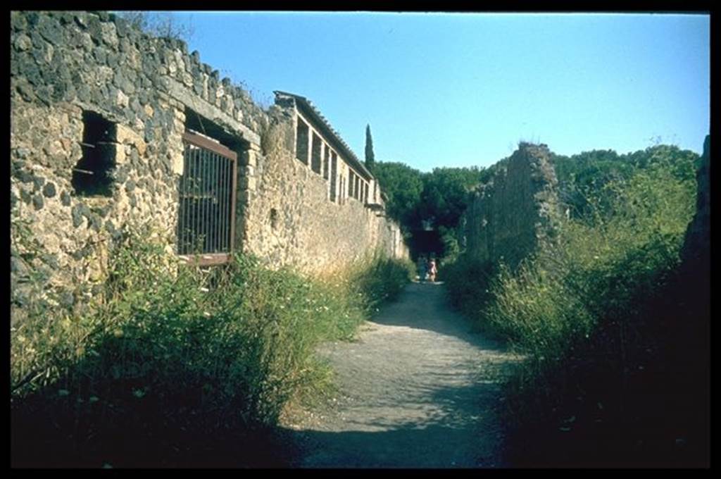 II.4.12 Pompeii. Roadway looking south II.3
Photographed 1970-79 by Günther Einhorn, picture courtesy of his son Ralf Einhorn.