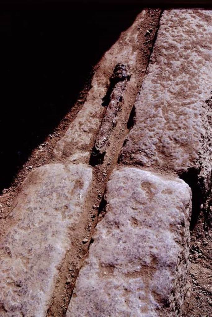 II.5.1 Pompeii. 1972. Perfectly preserved groove in the sill for the door-shutters with part of the metal that fastened the shutters from the inside, which was still intact.
Photo by Stanley A. Jashemski.
Source: The Wilhelmina and Stanley A. Jashemski archive in the University of Maryland Library, Special Collections (See collection page) and made available under the Creative Commons Attribution-Non Commercial License v.4. See Licence and use details. J72f0542