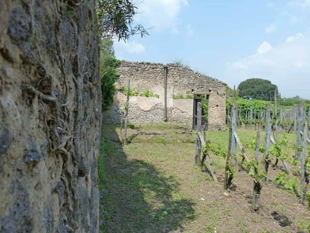II.5.1 Pompeii. May 2010. Looking north, over wall of Vicolo dell’Anfiteatro, towards triclinium.
