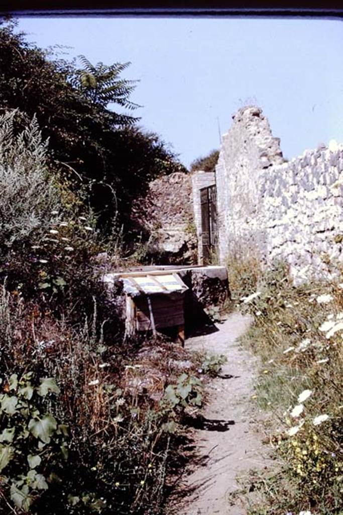 II.5.3 Pompeii. 1972. Looking west towards interior of entrance doorway. Photo by Stanley A. Jashemski.
Source: The Wilhelmina and Stanley A. Jashemski archive in the University of Maryland Library, Special Collections (See collection page) and made available under the Creative Commons Attribution-Non Commercial License v.4. See Licence and use details. J72f0552
