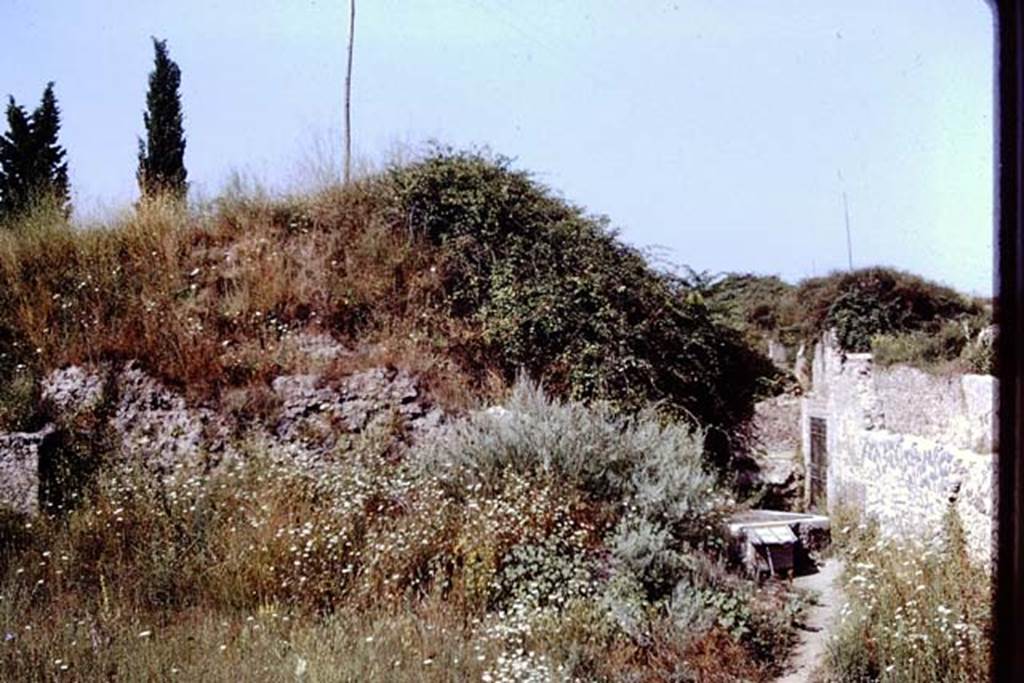 11.5 Pompeii. 1972. Looking west towards unexcavated mound with Sarno canal drainage inspection chamber, and entrance doorway at II.5.3. Photo by Stanley A. Jashemski.
Source: The Wilhelmina and Stanley A. Jashemski archive in the University of Maryland Library, Special Collections (See collection page) and made available under the Creative Commons Attribution-Non Commercial License v.4. See Licence and use details. J72f0550