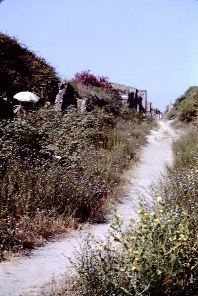 II.5.3 Pompeii, on left. 1966. Looking west along Via dell’Abbondanza from near II.5.
Photo by Stanley A. Jashemski.
Source: The Wilhelmina and Stanley A. Jashemski archive in the University of Maryland Library, Special Collections (See collection page) and made available under the Creative Commons Attribution-Non Commercial License v.4. See Licence and use details.
J66f0459