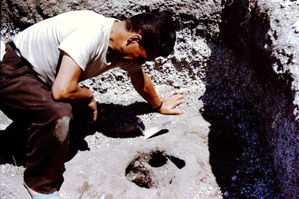 II.5 Pompeii. 1966. Large cavity being studied. Photo by Stanley A. Jashemski.
Source: The Wilhelmina and Stanley A. Jashemski archive in the University of Maryland Library, Special Collections (See collection page) and made available under the Creative Commons Attribution-Non Commercial License v.4. See Licence and use details.
J66f0165
