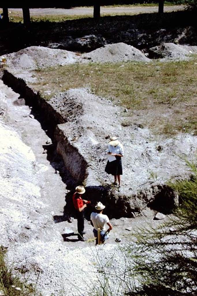 II.5 Pompeii. 1966. Looking south at the excavations near east wall in south-east corner.
Photo by Stanley A. Jashemski.
Source: The Wilhelmina and Stanley A. Jashemski archive in the University of Maryland Library, Special Collections (See collection page) and made available under the Creative Commons Attribution-Non Commercial License v.4. See Licence and use details.
J66f1106