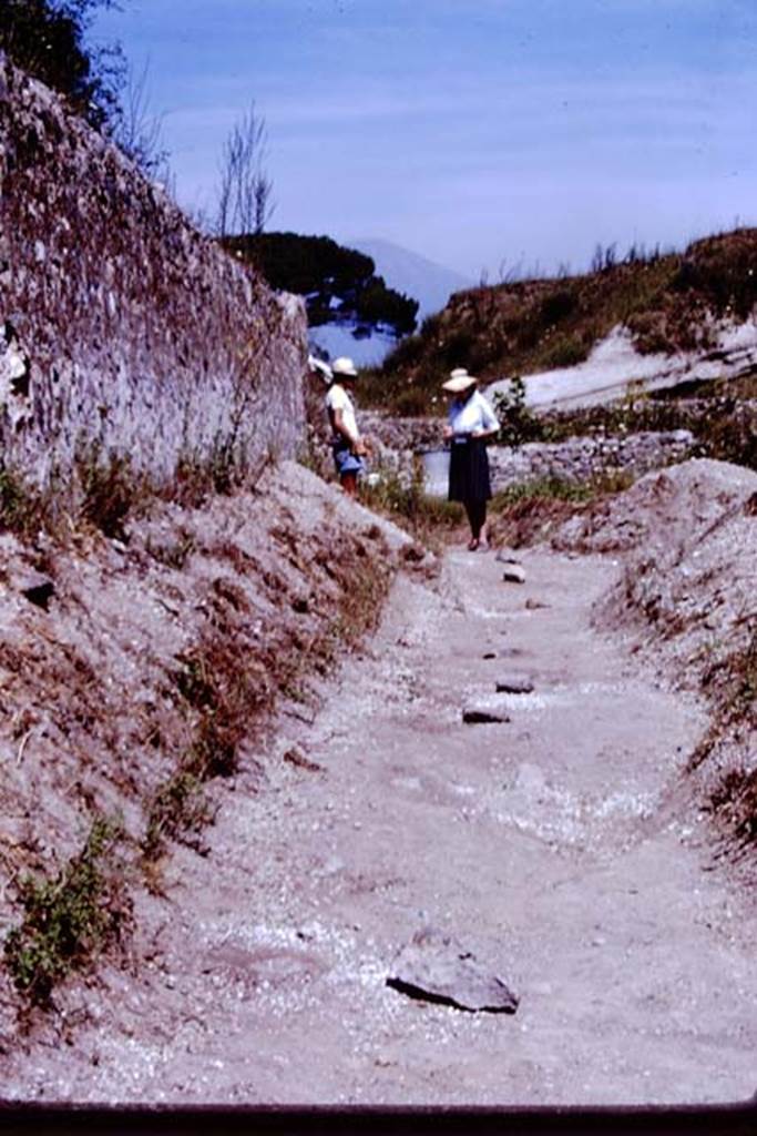 II.5 Pompeii. 1966. Stones to protect the root cavities along the east wall. Photo by Stanley A. Jashemski.
Source: The Wilhelmina and Stanley A. Jashemski archive in the University of Maryland Library, Special Collections (See collection page) and made available under the Creative Commons Attribution-Non Commercial License v.4. See Licence and use details.
J66f1070