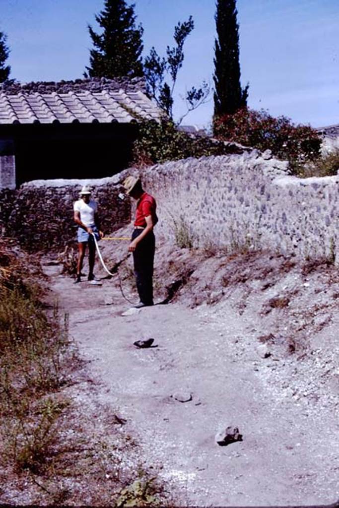 II.5 Pompeii. 1966. Looking west along the south wall, measuring and recording the root cavities. Photo by Stanley A. Jashemski.
Source: The Wilhelmina and Stanley A. Jashemski archive in the University of Maryland Library, Special Collections (See collection page) and made available under the Creative Commons Attribution-Non Commercial License v.4. See Licence and use details.
J66f1071
