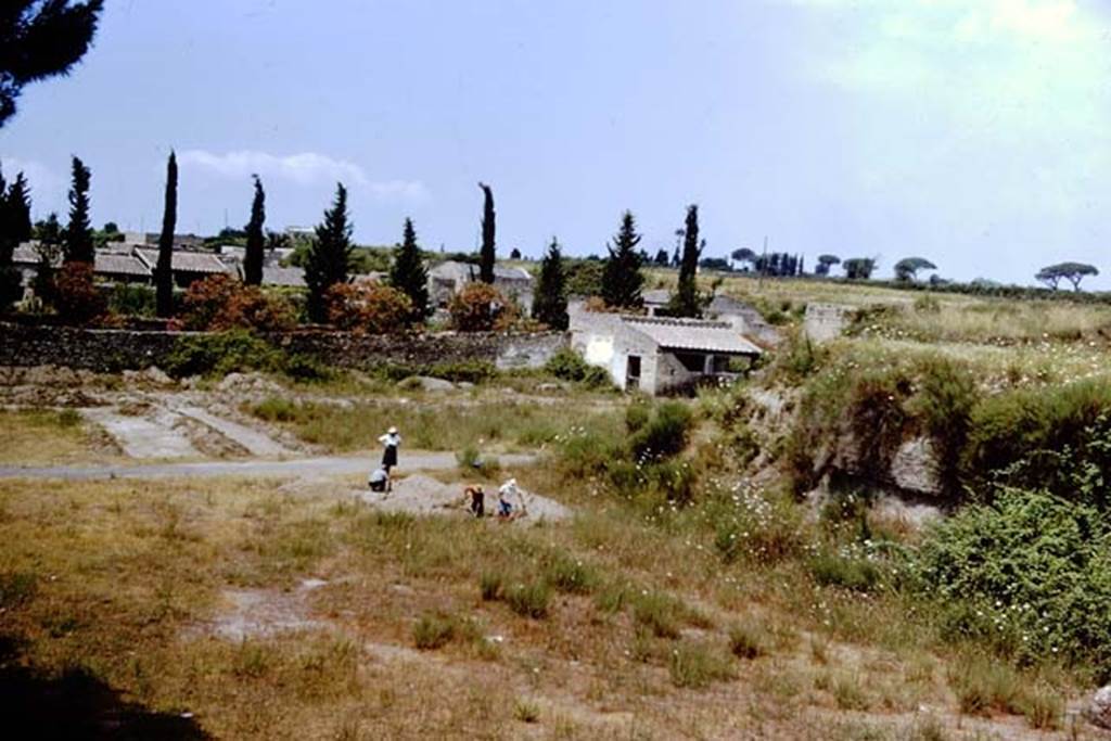 II.5 Pompeii. 1966 Pompeii. 1966. Looking north-west across site. Photo by Stanley A. Jashemski.
Source: The Wilhelmina and Stanley A. Jashemski archive in the University of Maryland Library, Special Collections (See collection page) and made available under the Creative Commons Attribution-Non Commercial License v.4. See Licence and use details.
J66f0609