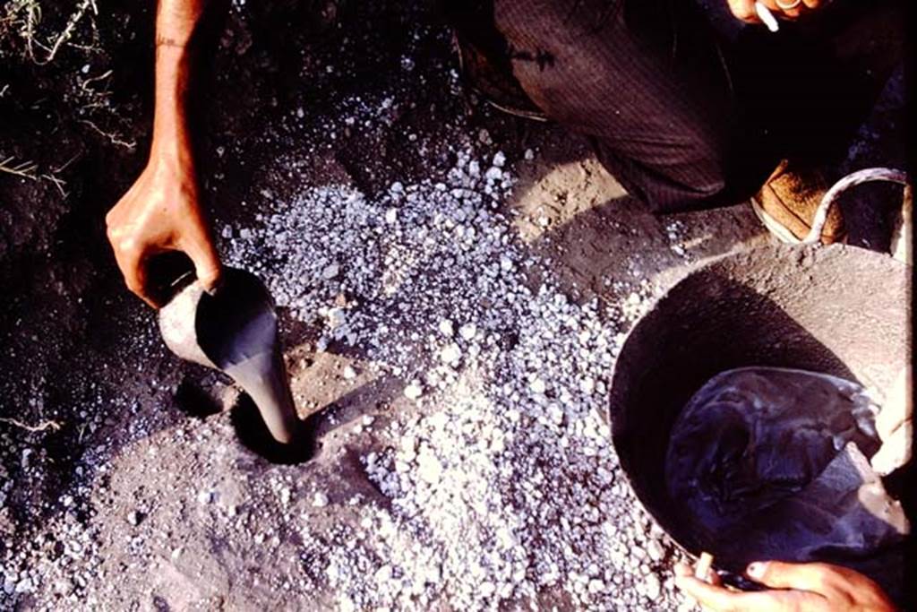 II.5 Pompeii. 1966. Filling the root cavity with cement. Photo by Stanley A. Jashemski.
Source: The Wilhelmina and Stanley A. Jashemski archive in the University of Maryland Library, Special Collections (See collection page) and made available under the Creative Commons Attribution-Non Commercial License v.4. See Licence and use details.
J66f0650