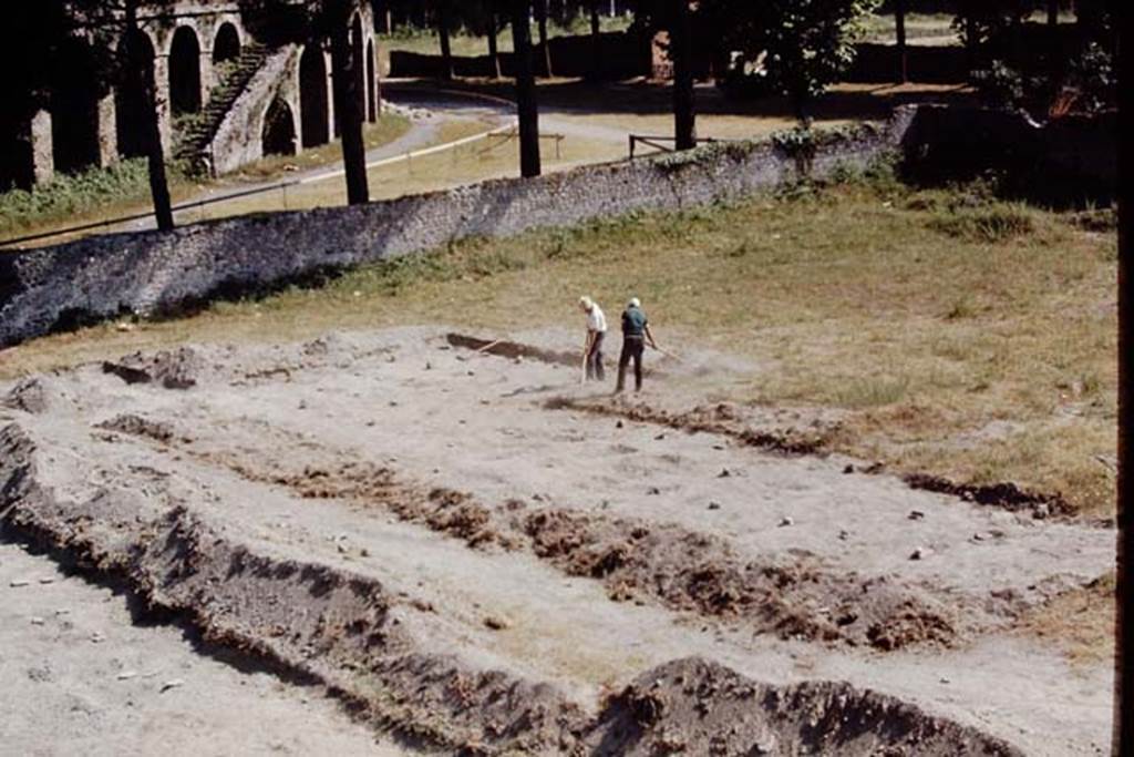 II.5 Pompeii, 1968. Looking towards the south-west corner of the site. Photo by Stanley A. Jashemski.
Source: The Wilhelmina and Stanley A. Jashemski archive in the University of Maryland Library, Special Collections (See collection page) and made available under the Creative Commons Attribution-Non Commercial License v.4. See Licence and use details.
J68f0357