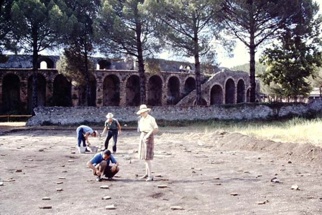 II.5 Pompeii, 1968. “I keep miscounting these root-cavities, the numbers just seem to keep growing”. Photo by Stanley A. Jashemski.
Source: The Wilhelmina and Stanley A. Jashemski archive in the University of Maryland Library, Special Collections (See collection page) and made available under the Creative Commons Attribution-Non Commercial License v.4. See Licence and use details.
J68f0844