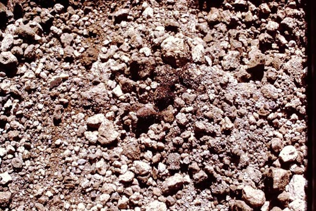II.5 Pompeii. 1970.  Found near the east wall was evidence of carbonized material, the lapilli was then carefully removed by hand, and two oval objects were discovered almost at the original ground level. Photo by Stanley A. Jashemski.
Source: The Wilhelmina and Stanley A. Jashemski archive in the University of Maryland Library, Special Collections (See collection page) and made available under the Creative Commons Attribution-Non Commercial License v.4. See Licence and use details.
J70f0548
