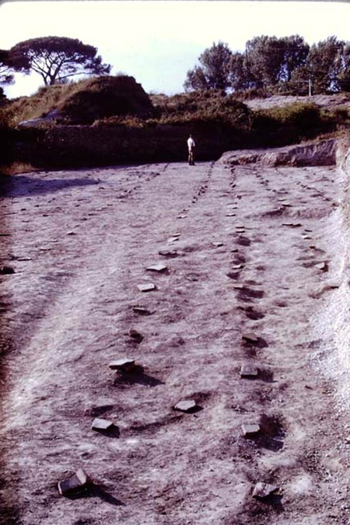 II.5 Pompeii. 1970. Looking north.  Photo by Stanley A. Jashemski.
Source: The Wilhelmina and Stanley A. Jashemski archive in the University of Maryland Library, Special Collections (See collection page) and made available under the Creative Commons Attribution-Non Commercial License v.4. See Licence and use details.
J70f0592 

