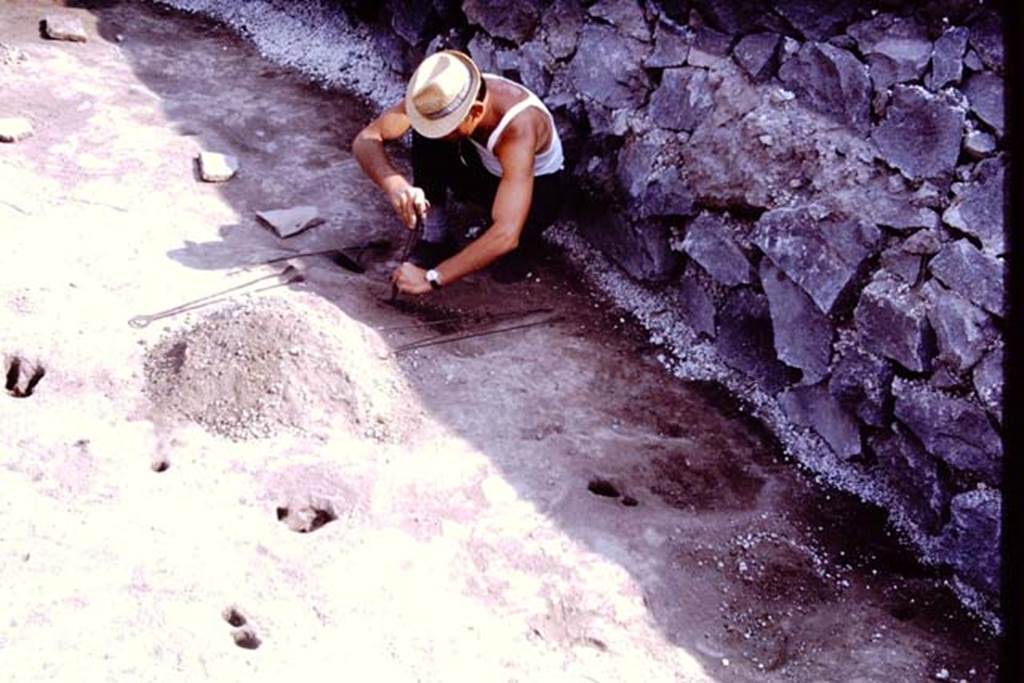 II.5 Pompeii. 1970. Emptying and cleaning the root cavities. Photo by Stanley A. Jashemski.
Source: The Wilhelmina and Stanley A. Jashemski archive in the University of Maryland Library, Special Collections (See collection page) and made available under the Creative Commons Attribution-Non Commercial License v.4. See Licence and use details.
J70f0610