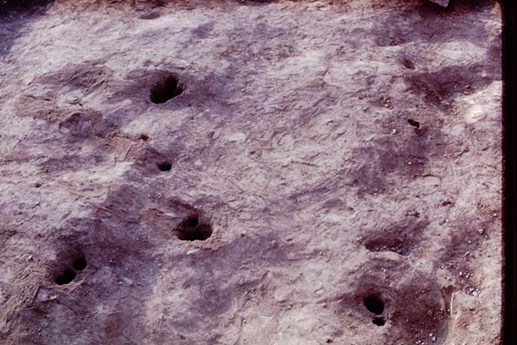 II.5 Pompeii. 1970. Ground contours, and emptied root cavities. Photo by Stanley A. Jashemski.
Source: The Wilhelmina and Stanley A. Jashemski archive in the University of Maryland Library, Special Collections (See collection page) and made available under the Creative Commons Attribution-Non Commercial License v.4. See Licence and use details.
J70f0619
