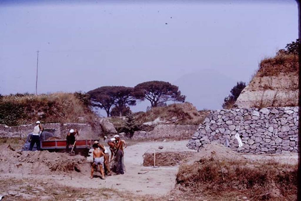 II.5 Pompeii. 1970. Looking north from south end of retaining wall. Photo by Stanley A. Jashemski.
Source: The Wilhelmina and Stanley A. Jashemski archive in the University of Maryland Library, Special Collections (See collection page) and made available under the Creative Commons Attribution-Non Commercial License v.4. See Licence and use details.
J70f0646