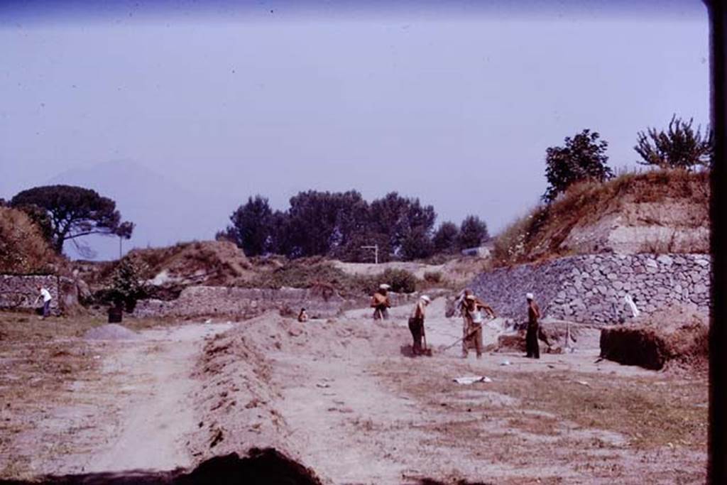 II.5 Pompeii. 1970. Looking north. Photo by Stanley A. Jashemski.
Source: The Wilhelmina and Stanley A. Jashemski archive in the University of Maryland Library, Special Collections (See collection page) and made available under the Creative Commons Attribution-Non Commercial License v.4. See Licence and use details.
J70f0652