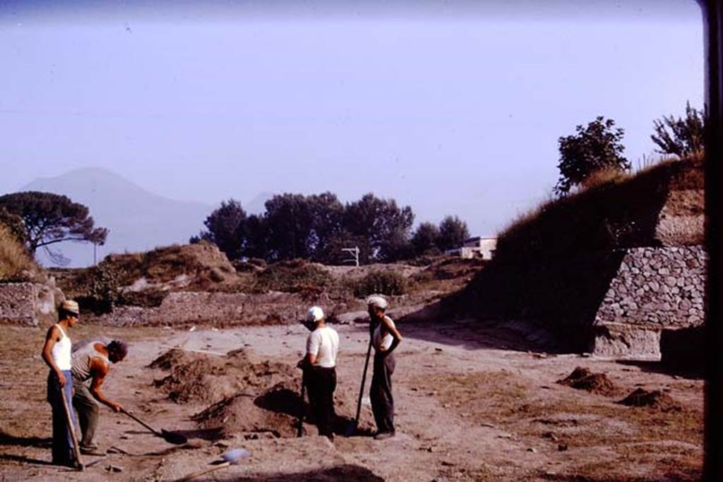 II.5 Pompeii. 1970. Looking north. Photo by Stanley A. Jashemski.
Source: The Wilhelmina and Stanley A. Jashemski archive in the University of Maryland Library, Special Collections (See collection page) and made available under the Creative Commons Attribution-Non Commercial License v.4. See Licence and use details.
J70f0669