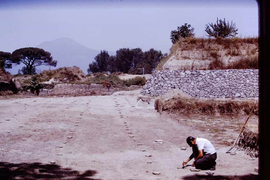 II.5 Pompeii. 1970. Looking north. Photo by Stanley A. Jashemski.
Source: The Wilhelmina and Stanley A. Jashemski archive in the University of Maryland Library, Special Collections (See collection page) and made available under the Creative Commons Attribution-Non Commercial License v.4. See Licence and use details.
J70f0689