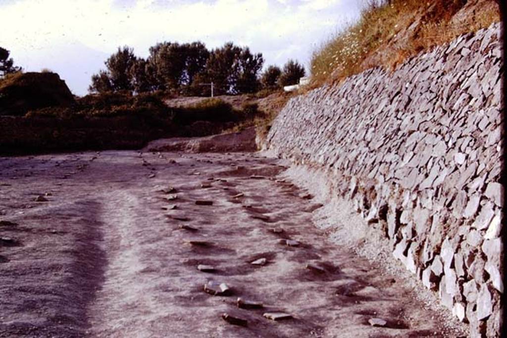 II.5 Pompeii. 1970. Looking north along line of path. Photo by Stanley A. Jashemski.
Source: The Wilhelmina and Stanley A. Jashemski archive in the University of Maryland Library, Special Collections (See collection page) and made available under the Creative Commons Attribution-Non Commercial License v.4. See Licence and use details.
J70f0745