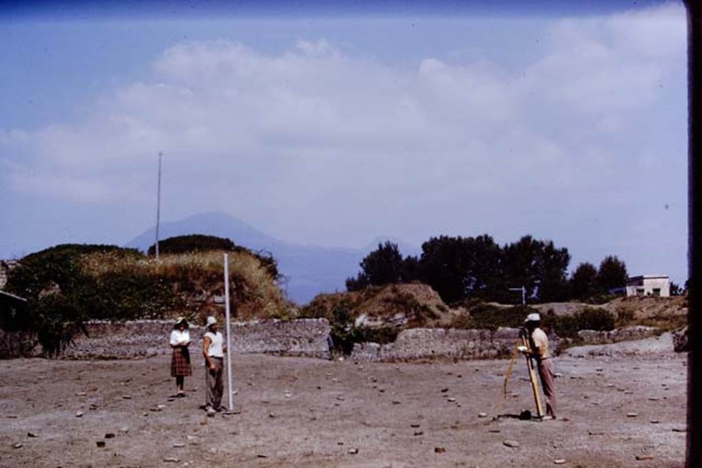 II.5 Pompeii. 1970. Looking north. Photo by Stanley A. Jashemski.
Source: The Wilhelmina and Stanley A. Jashemski archive in the University of Maryland Library, Special Collections (See collection page) and made available under the Creative Commons Attribution-Non Commercial License v.4. See Licence and use details.
J70f0793