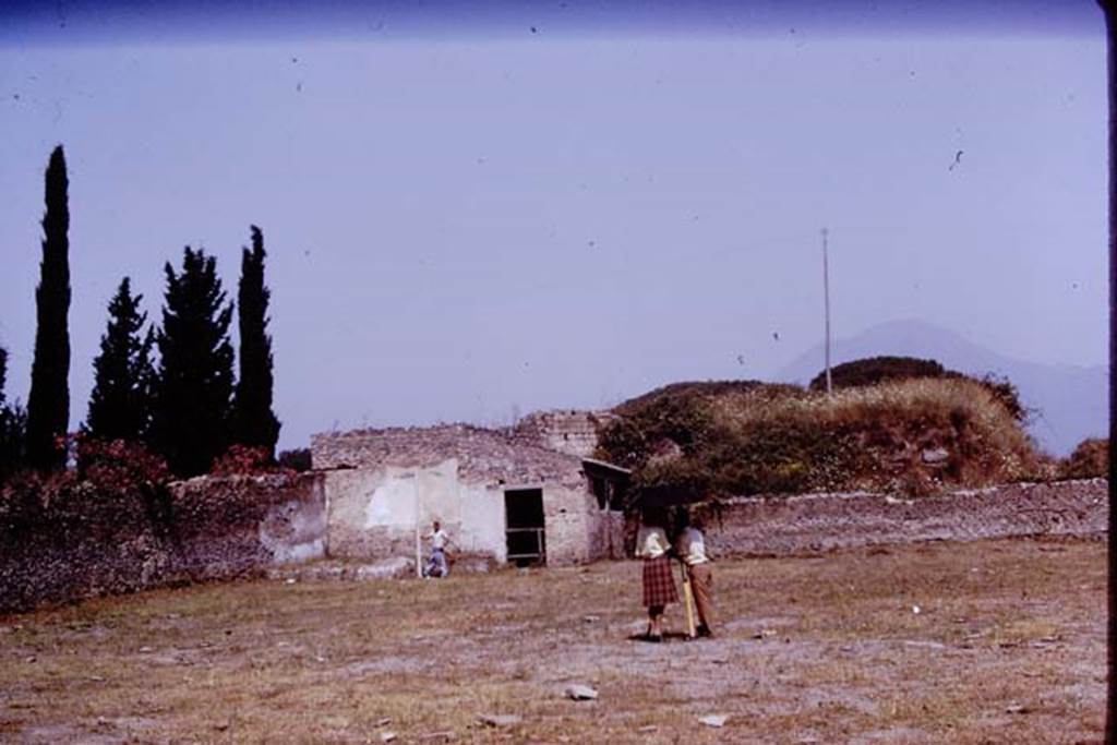 II.5 Pompeii. 1970. Looking north-west. Photo by Stanley A. Jashemski.
Source: The Wilhelmina and Stanley A. Jashemski archive in the University of Maryland Library, Special Collections (See collection page) and made available under the Creative Commons Attribution-Non Commercial License v.4. See Licence and use details.
J70f0683