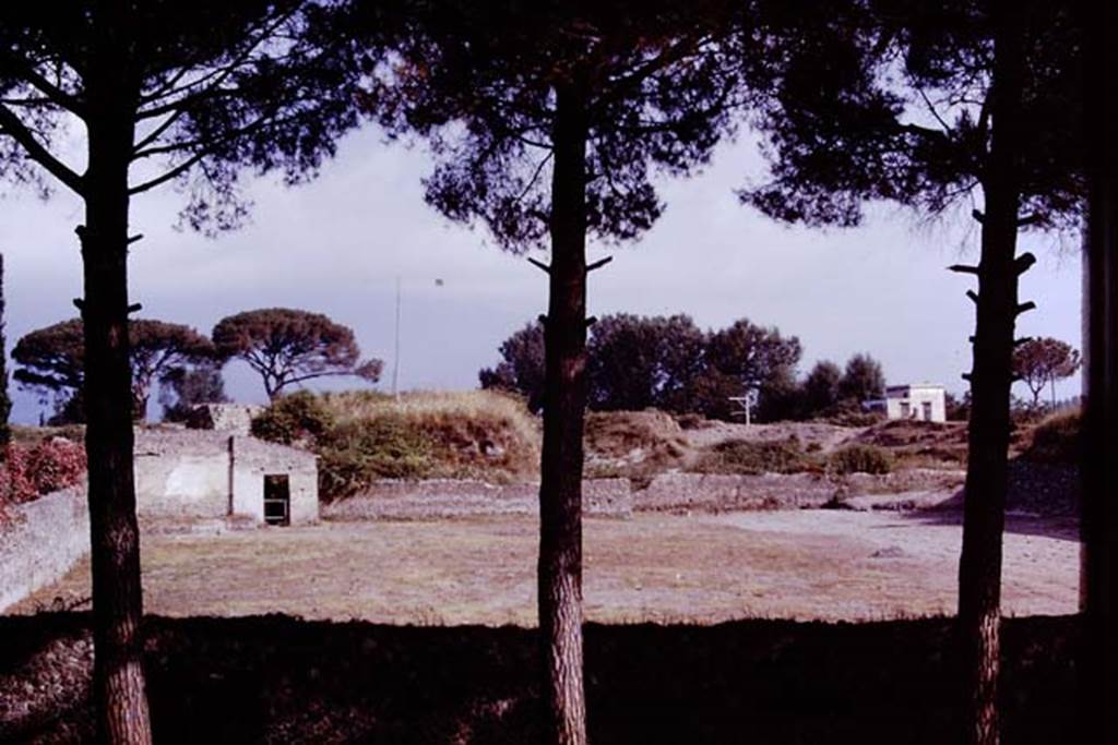 II.5 Pompeii. 1970. Looking north across completed site. Photo by Stanley A. Jashemski.
Source: The Wilhelmina and Stanley A. Jashemski archive in the University of Maryland Library, Special Collections (See collection page) and made available under the Creative Commons Attribution-Non Commercial License v.4. See Licence and use details.
J70f0721