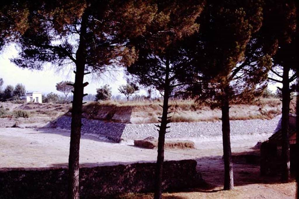 II.5 Pompeii. 1970. Looking north-east across completed site. Photo by Stanley A. Jashemski.
Source: The Wilhelmina and Stanley A. Jashemski archive in the University of Maryland Library, Special Collections (See collection page) and made available under the Creative Commons Attribution-Non Commercial License v.4. See Licence and use details.
J70f0722