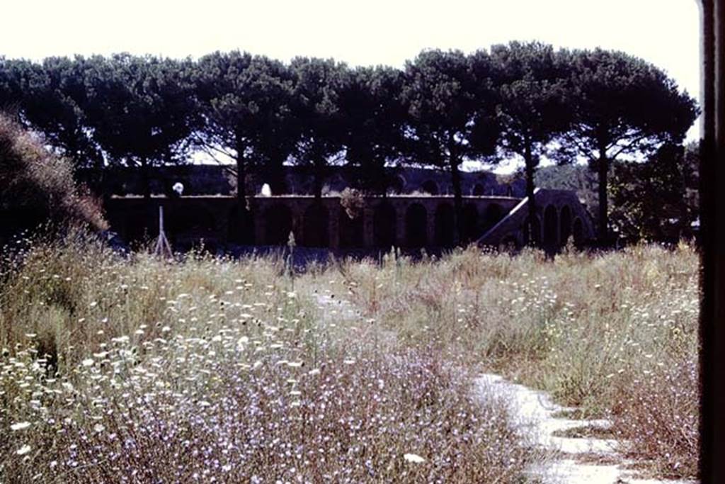 II.5 Pompeii. 1972. Two years later, looking south across vineyard. Photo by Stanley A. Jashemski.
Source: The Wilhelmina and Stanley A. Jashemski archive in the University of Maryland Library, Special Collections (See collection page) and made available under the Creative Commons Attribution-Non Commercial License v.4. See Licence and use details. J72f0551