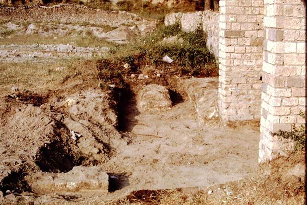 II.5 Pompeii, 1968. Looking east towards triclinium, found on east side of entrance gateway. Photo by Stanley A. Jashemski.
Source: The Wilhelmina and Stanley A. Jashemski archive in the University of Maryland Library, Special Collections (See collection page) and made available under the Creative Commons Attribution-Non Commercial License v.4. See Licence and use details. J68f1304