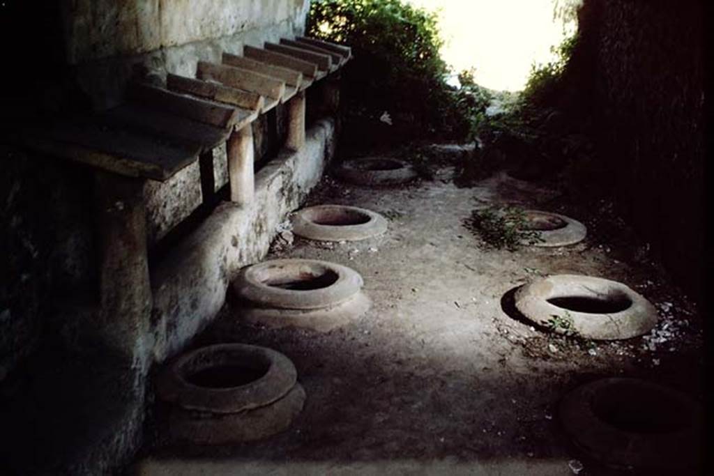 II.5.5. Pompeii. 1966. Looking north in building where wine was made. Photo by Stanley A. Jashemski.
Source: The Wilhelmina and Stanley A. Jashemski archive in the University of Maryland Library, Special Collections (See collection page) and made available under the Creative Commons Attribution-Non Commercial License v.4. See Licence and use details.
J66f0339