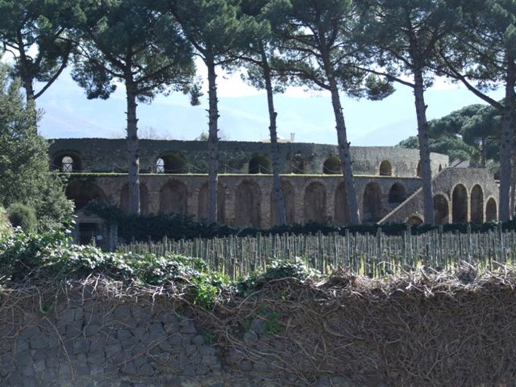 II.5.5 Pompeii. March 2009. Looking south over wall on Via ell’Abbondanza, across vineyard to II.5.5 and amphitheatre.