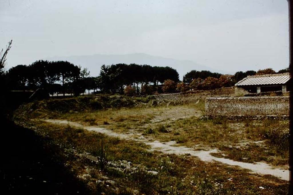 II.5.5 Pompeii. 1959. Looking south-west. The steps of the amphitheatre can be seen on the left, and the Palestra through the trees in the centre. Photo by Stanley A. Jashemski.
Source: The Wilhelmina and Stanley A. Jashemski archive in the University of Maryland Library, Special Collections (See collection page) and made available under the Creative Commons Attribution-Non Commercial License v.4. See Licence and use details.
J59f0454
